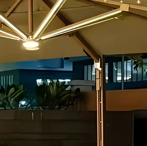 非凡羅馬傘中柱