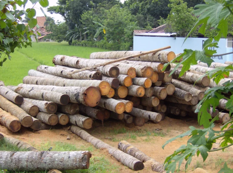 coconut wood