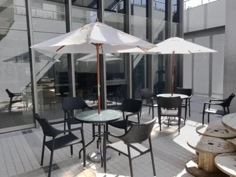 布萊曼 藤編扶手餐椅 (深黑條)